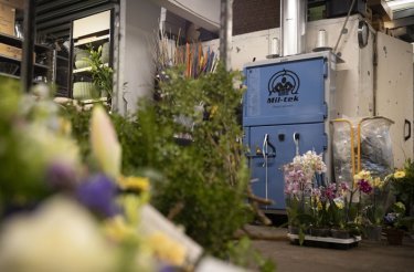 Blaue Ballenpresse A102 in einem Blumengeschäft